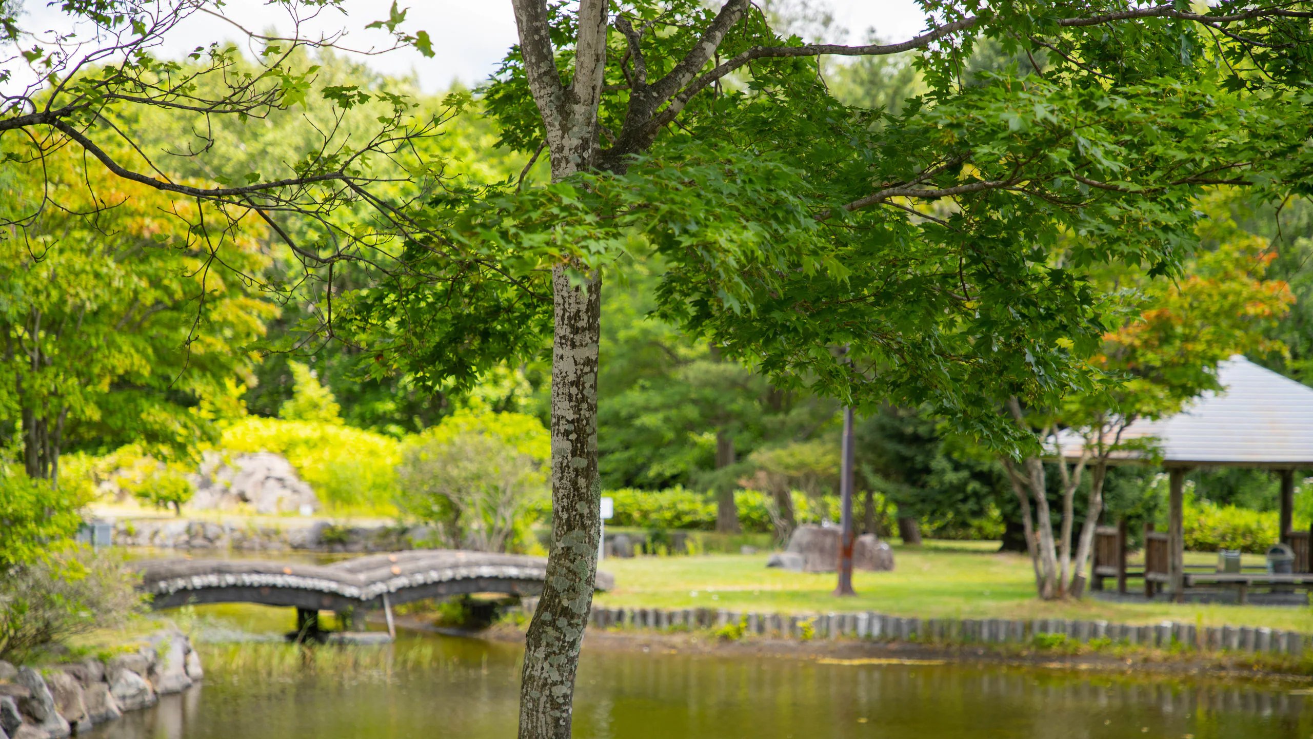 🏞️ 호키 고대의 언덕 공원(호키코다이노오카코엔) 이미지 1